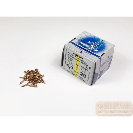 Torx facsavar 4x20mm